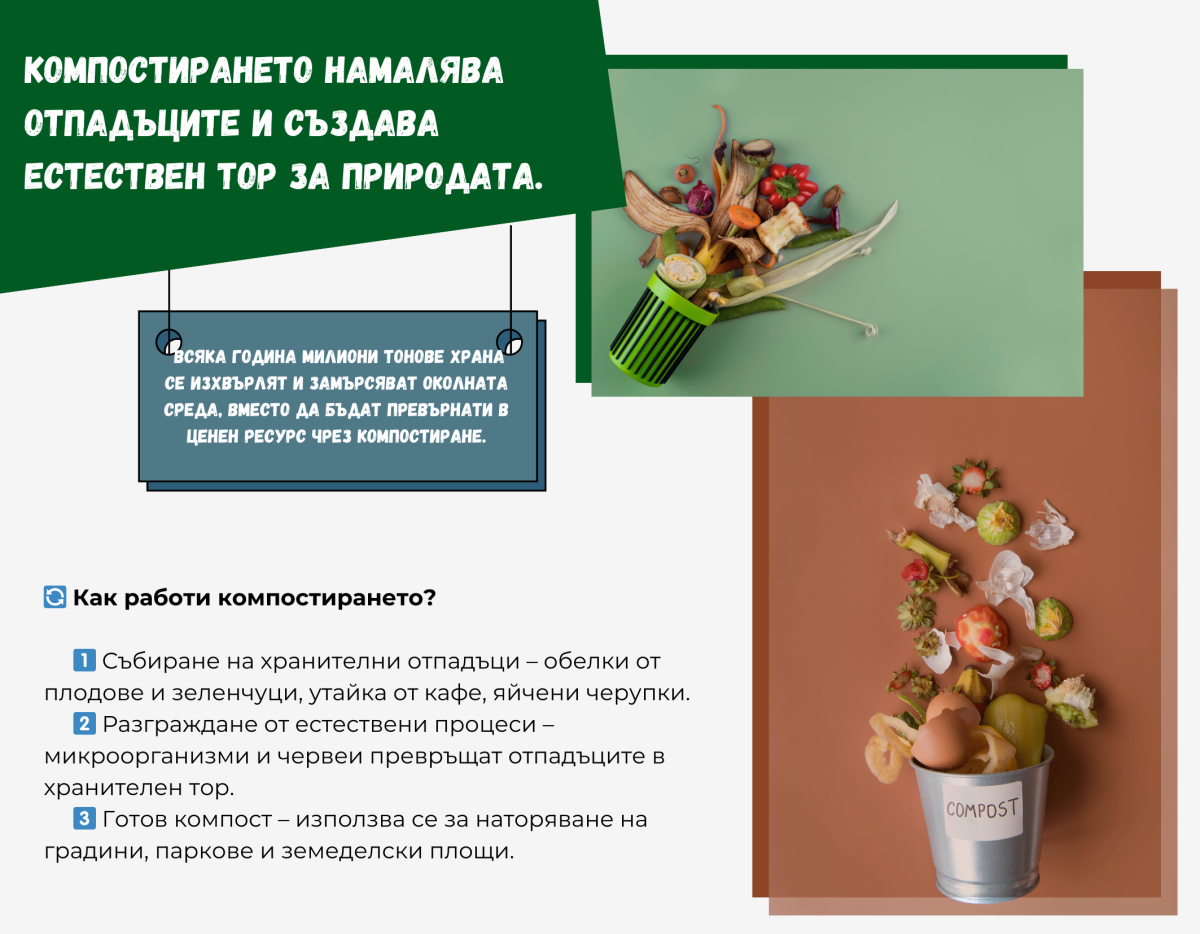 Пано 2